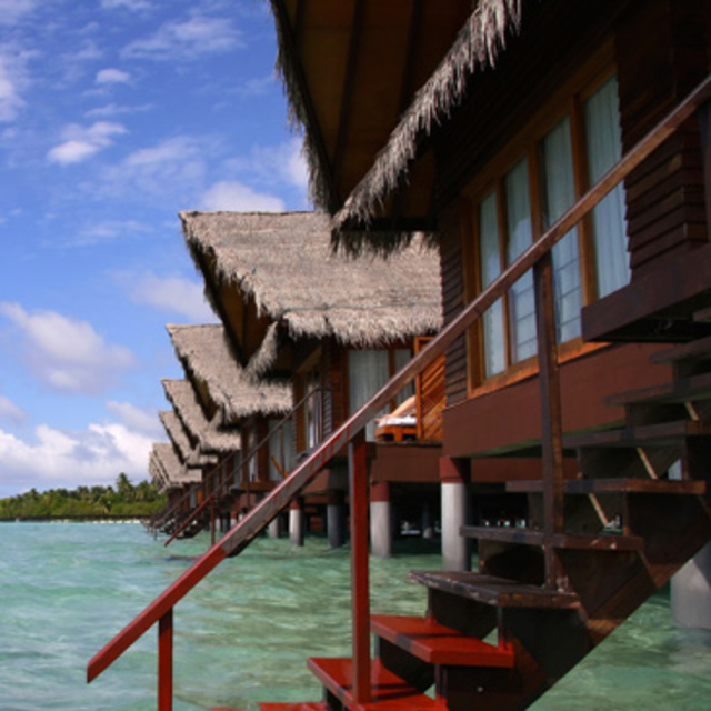 Bungalows/Hotels/Hostels