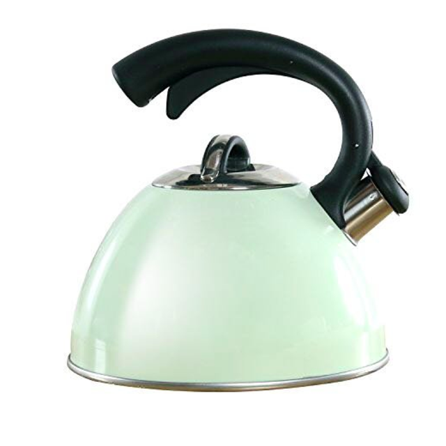 Stainless Steel Stovetop Tea Kettle