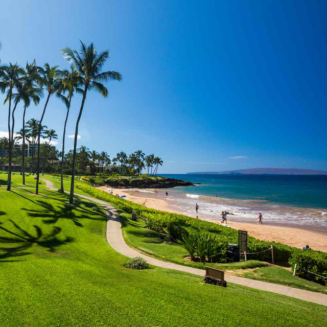 Our Hawaii Honeymoon Fund