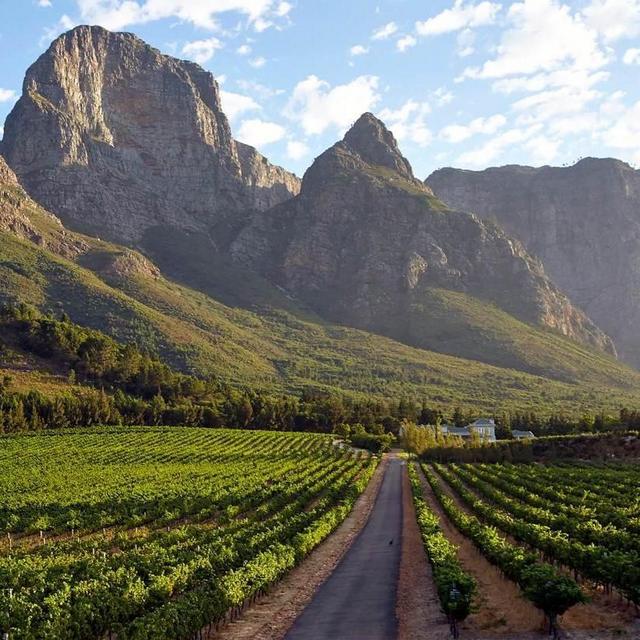 3 Nights in South African Wine Country