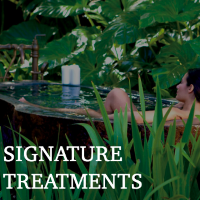 Honeymoon Couple's Massage