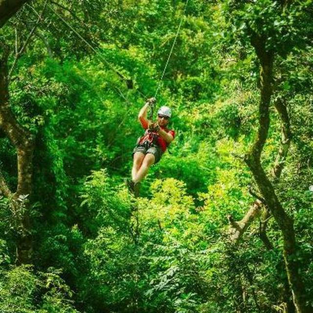Honeymoon Zipline Excursion