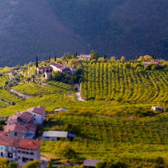Valpolicella Region Wine Tour