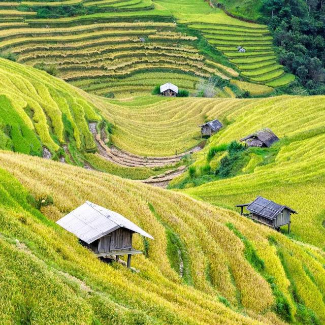 Hiking in Sapa with Guide