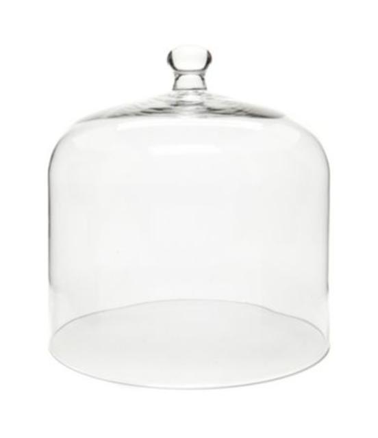 Southern Living Glass Cake Dome