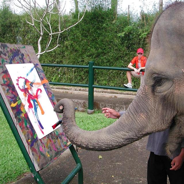 Elephant Sanctuary Visit