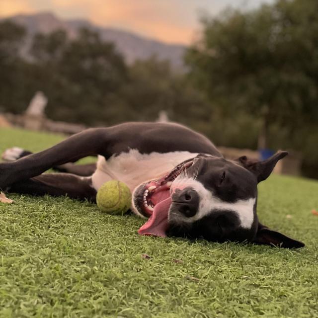 Willow’s Summer Camp Fund
