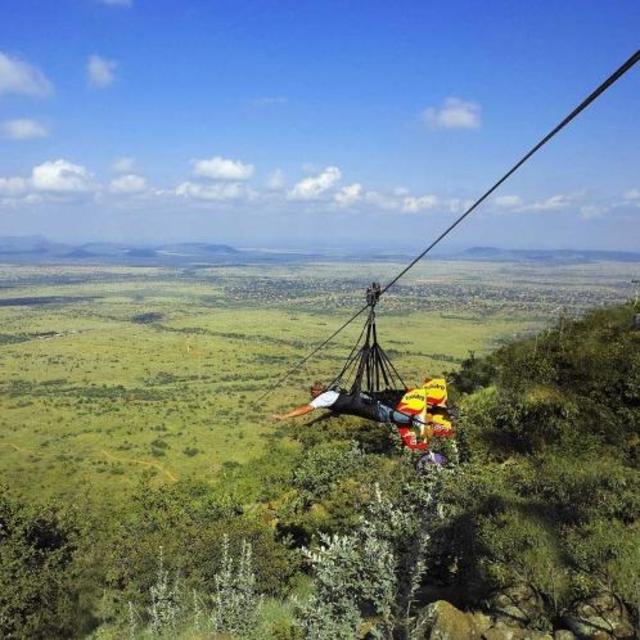 Zip-Lining Adventure