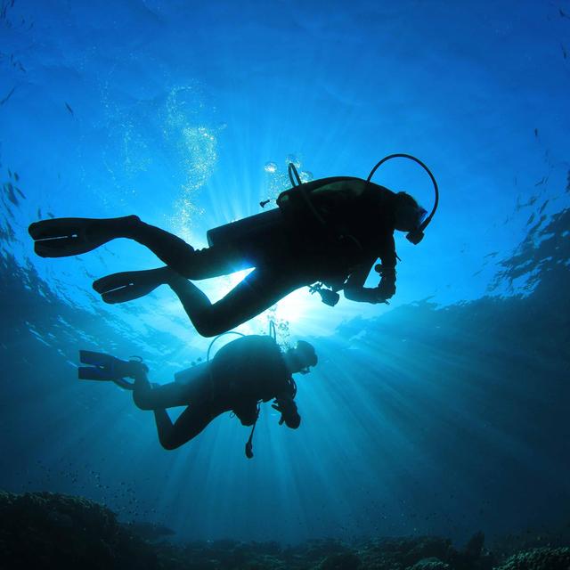 Scuba Diving off African Coast