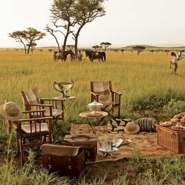 Dinner on the Safari