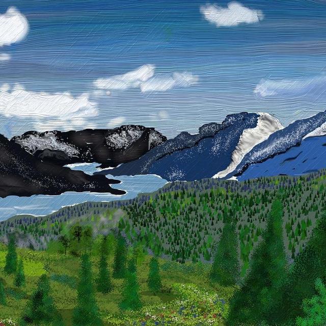 Contribute to Our Honeymoon Fund