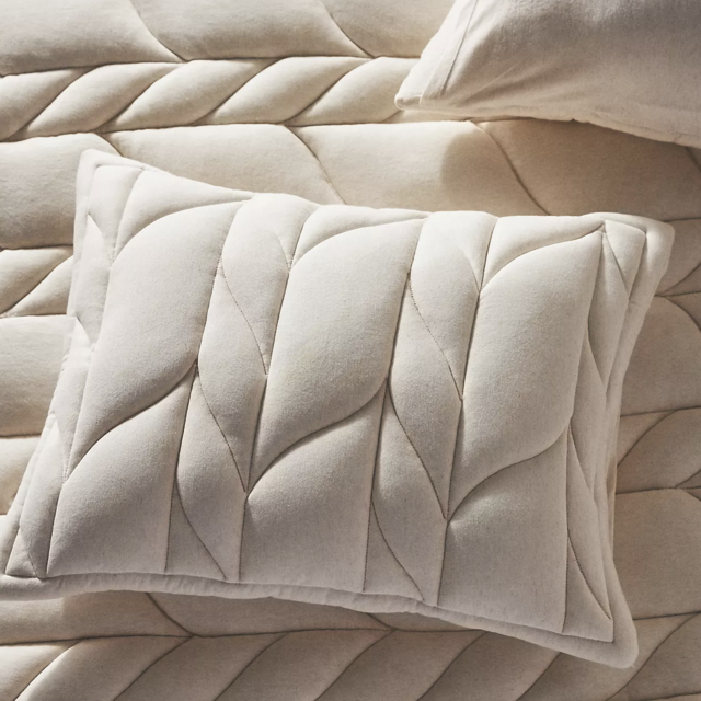 Vatteret Jersey Shams, Set of 2
