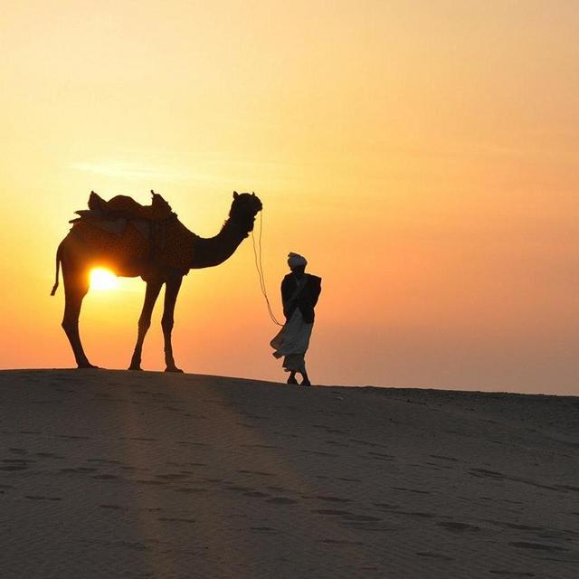 Camel Ride