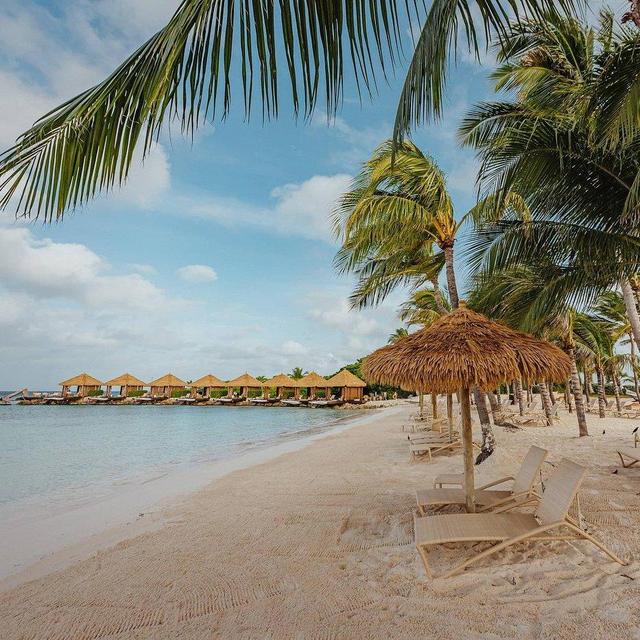 Honeymoon in Aruba 2026