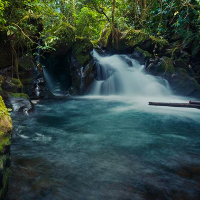 Waterfall hike