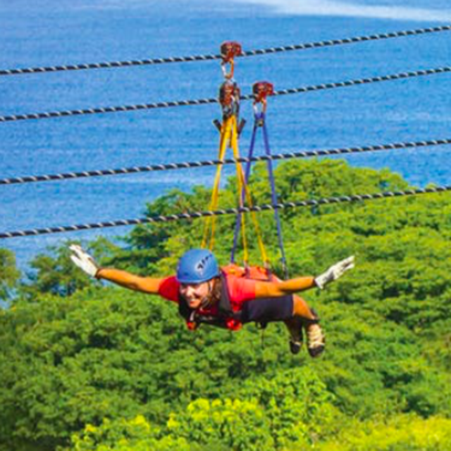 Zip Line