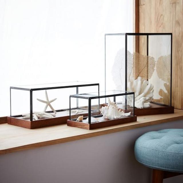 Wood + Glass Display Cases
