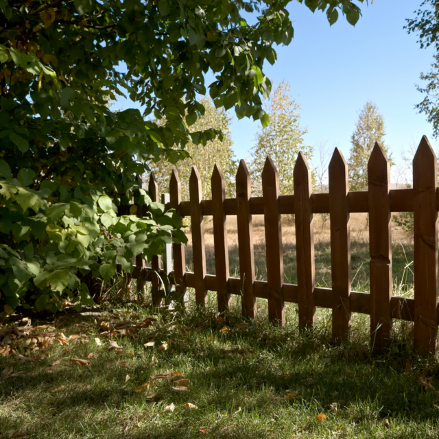 Yard Fence for Bruno