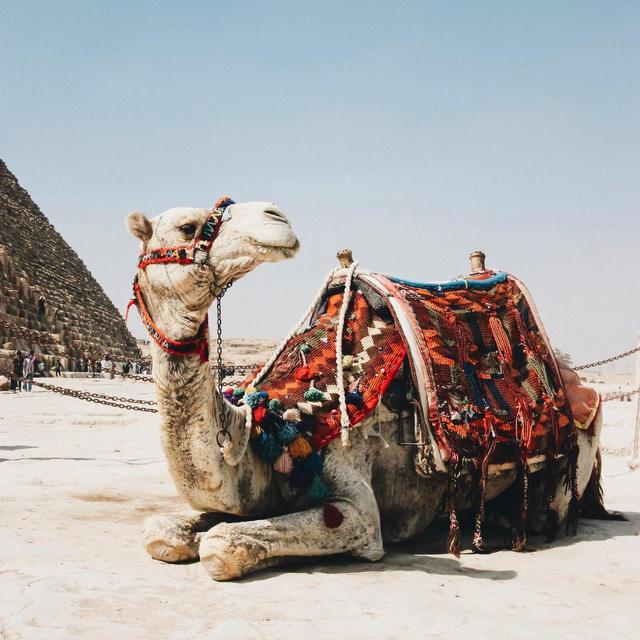 Experiences for our Honeymoon