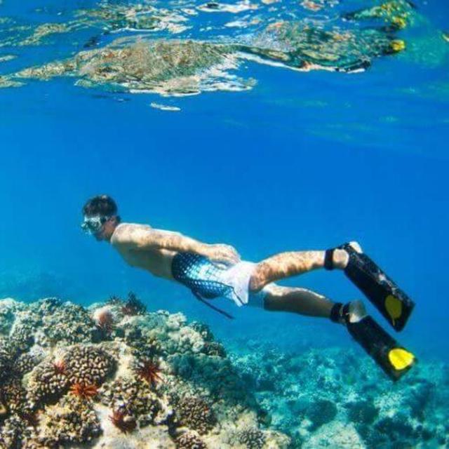 Snorkeling Trip (1 each)