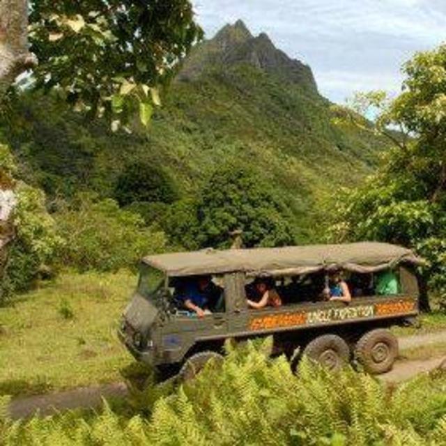 Jungle Expedition & Nature Tour (1 each)