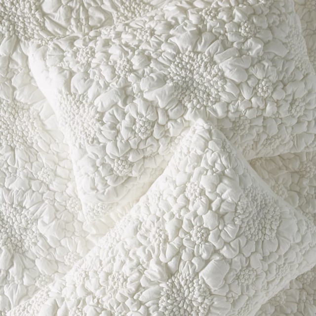 Textured Piazza Shams, Set of 2