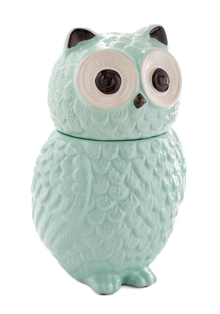 Hoot Wants a Cookie? Canister