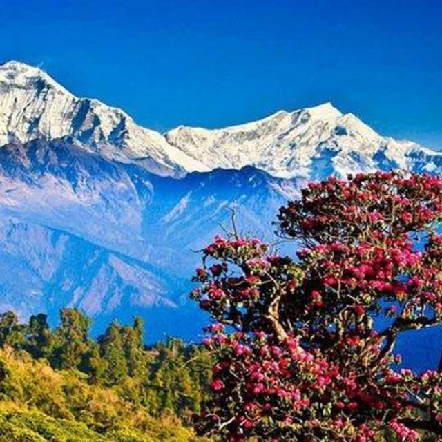 Honeymoon - Himalayan trek