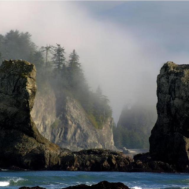 Round Trip Plane Tickets to WA