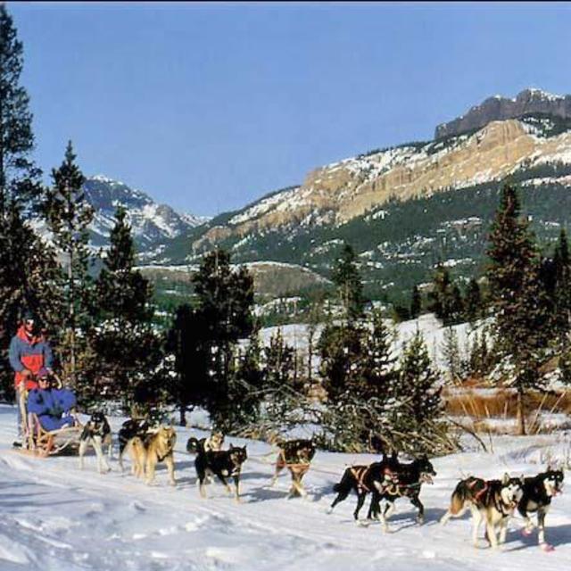 Grand Teton Dog Sledding