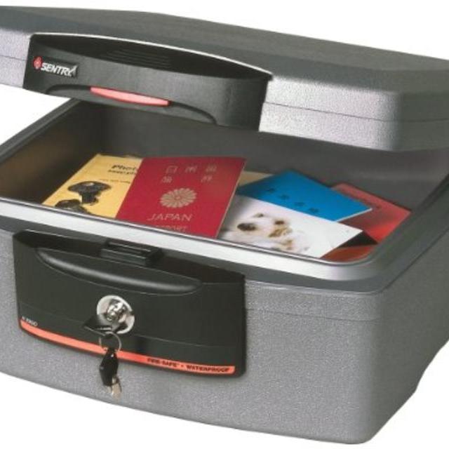 SentrySafe H2300  0.36 Cubic Foot Fire-Safe Waterproof Chest, Silver Gray