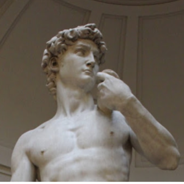 Museum tickets to Galleria Dell'Accademia