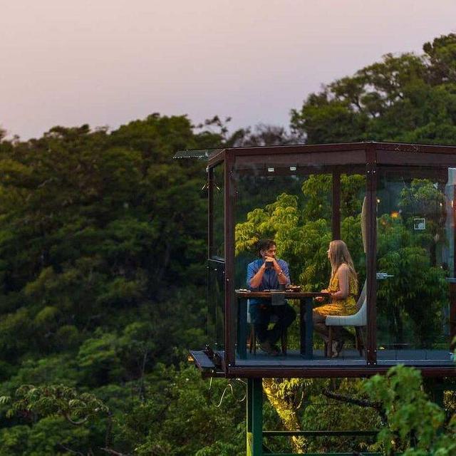 Dinner For Two - San Lucas Treetop Dining