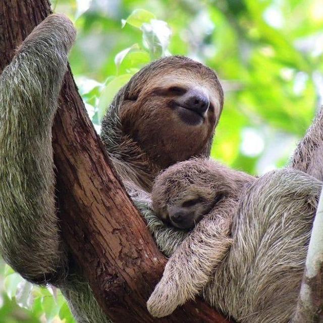 Manuel Antonio National Park Tour