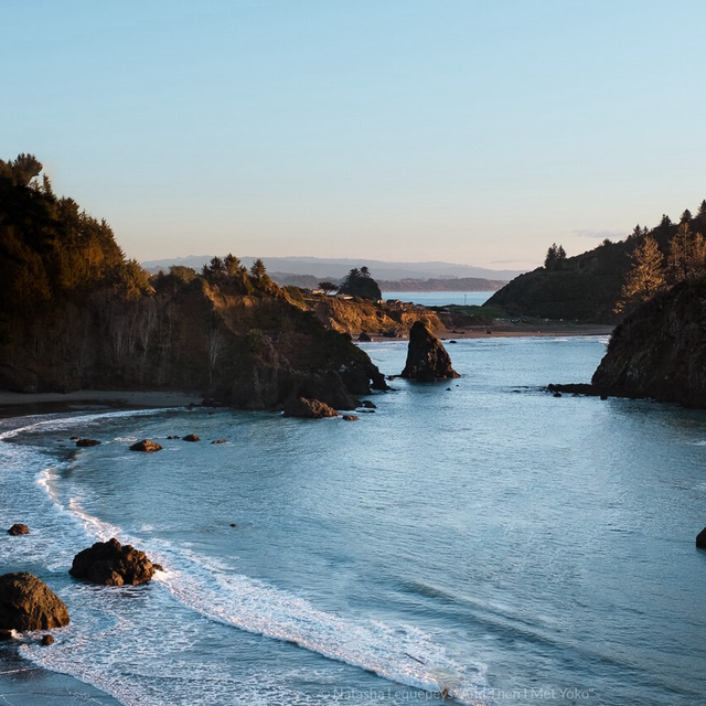 Our Honeymoon in Carmel