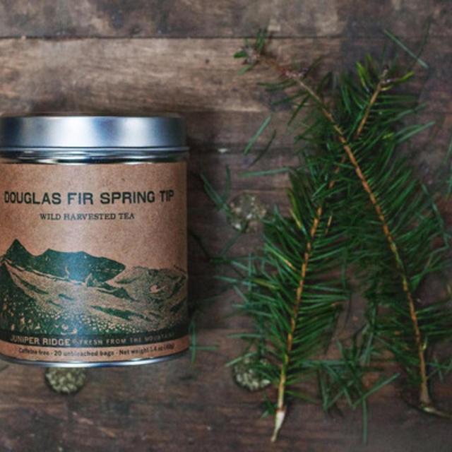Douglas Fir Spring Tip Tea