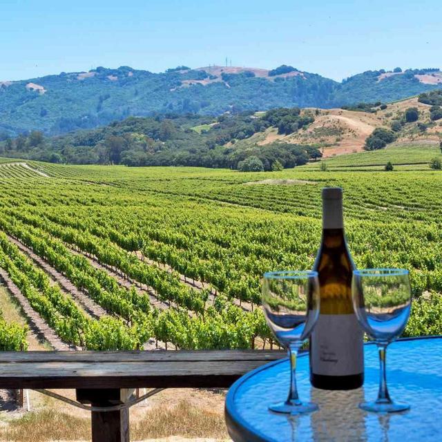 Two Nights in Sonoma & Wine Tour