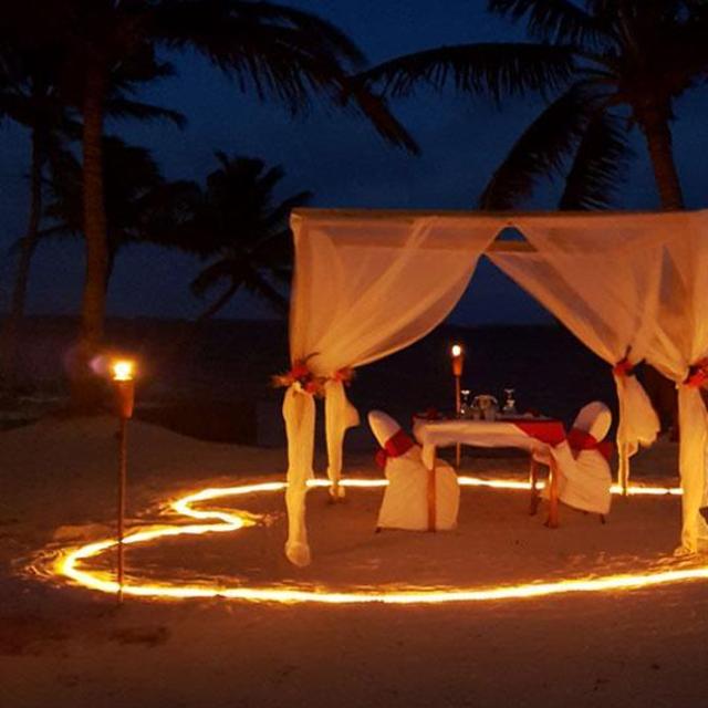 Romantic Honeymoon Dinner
