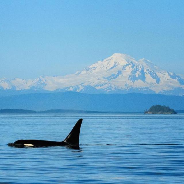 Honeymoon on Orcas Island