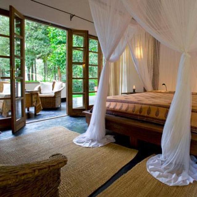 Night at Plantation Lodge