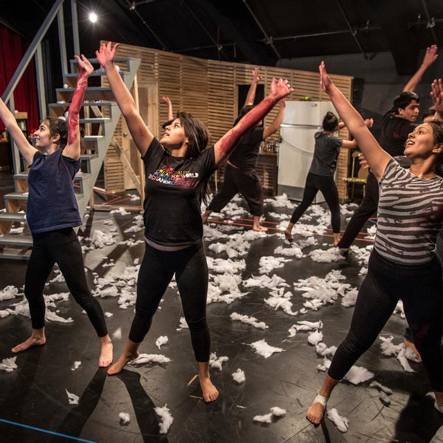 Make a Donation to the Albany Park Theater Project