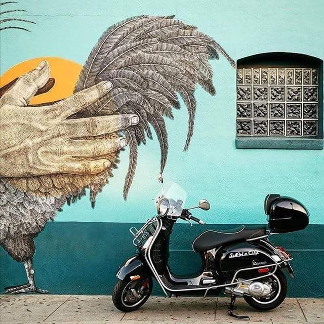 Vespa Rental in Australia