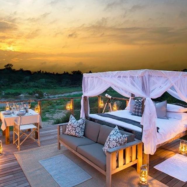 African Safari - One Night in Lion Sands Treehouse