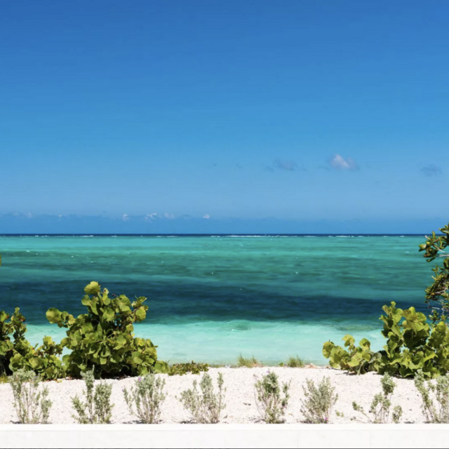 Gift toward stand up paddle boarding tour for