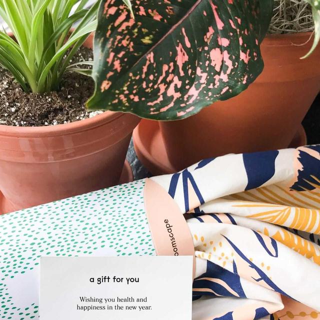 Gift Card | Bloomscape Online Plant Store