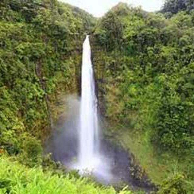 Crater Hike & Akaka Falls Excursion in Hilo