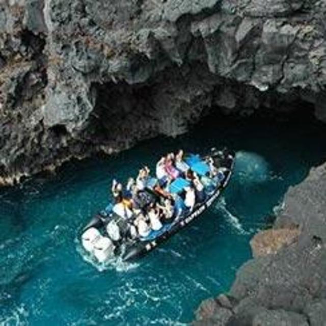 Zodiac Raft, Snorkel & Dolphin Adventure in Kona