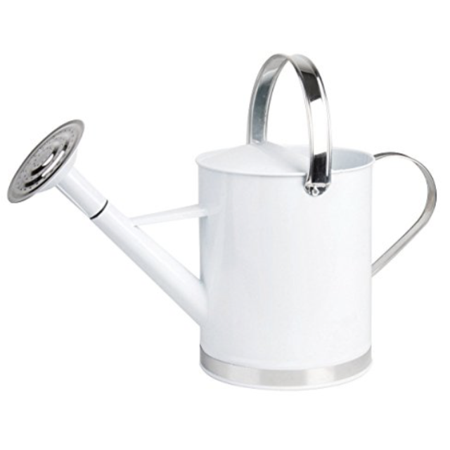 Water Can - Spain Amazon