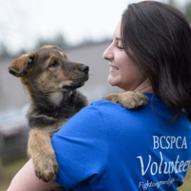 Donation to the British Columbia SPCA - US DOLLARS