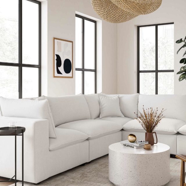 New Couch for the Couple